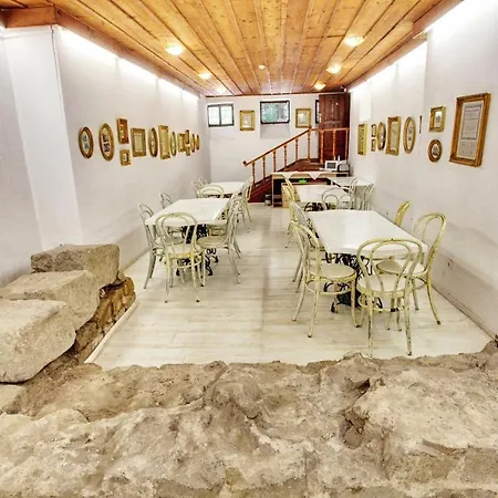 老普罗夫迪夫旅馆